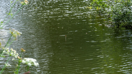 Scenic view of fishing lake of water with bright orange fishing float with glimpse of white flowers in the margins