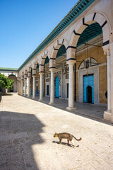 Zitouna Mosque,Located in the heart of Tunis' medina, this important mosque was founded in 734 and...