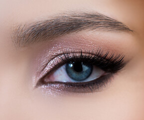 Obraz premium Closeup woman eye. Close up brows, eyebrows eye make up. Long eyelashes, eyebrows, macro eyes.
