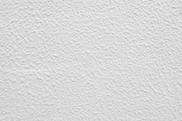 白いざらざらとした家の外壁