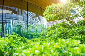 Green city, Modern glass building with Park Green tree. Urban office clean air ozone and saving...
