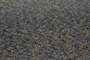 Detalle de arena negra en la playa de Qurum en Muscat, Sultanato de Omán