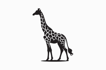 A Giraffe silhouette vector illustration