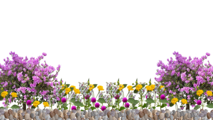 flowers on gravel,  isolated on transparent background, bottom background, suitable for design background nature themes