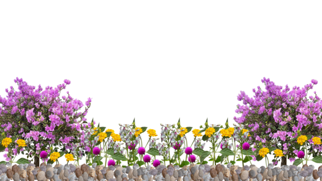 flowers on gravel,  isolated on transparent background, bottom background, suitable for design background nature themes