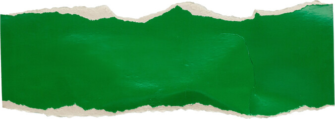 piece of green paper tear isolated on white background
