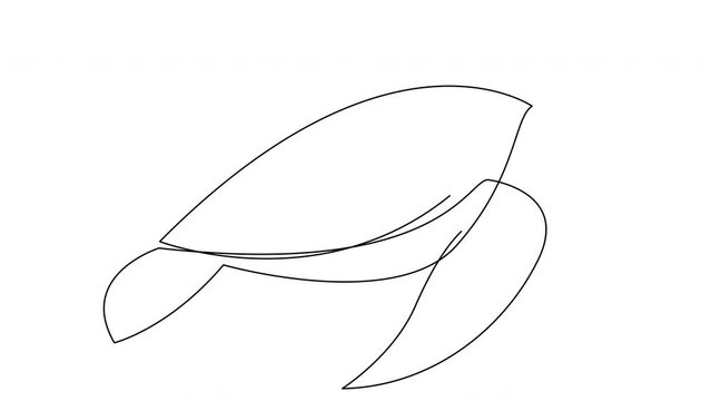 Self drawing animation of sea turtle drawn by one continuous line. Animated single line doodle animal.