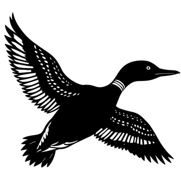 recommend clip art: flying loon black silhouette on white illustration