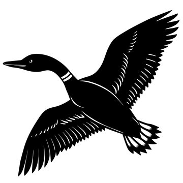 recommend clip art: flying loon black silhouette on white illustration