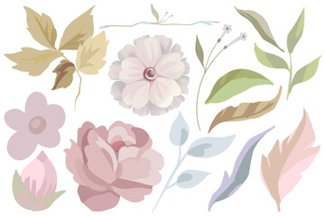 Spring Summer floral isolated watercolor elements design. Botanical plants watercolor collection