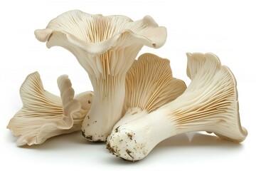 A group of mushrooms on a white surface