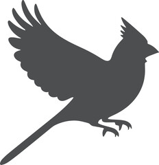 Fototapeta premium Web