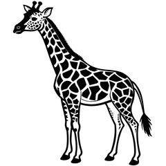 giraffe vector silhouette illustration