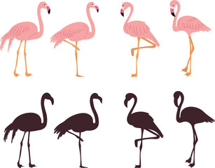 pink flamingos on white background vector