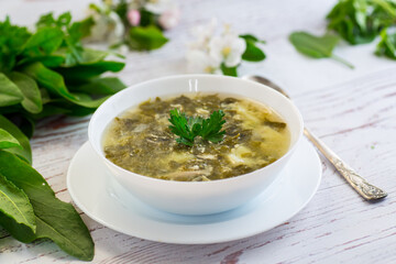 cooked green borscht from sorrel in a plate