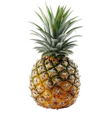 Fototapeta premium pineapple on transparent isolated background