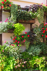 flowers in a vertical garden balcony decoration, green floral home