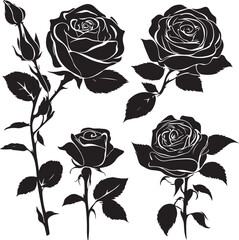  Set of decorative rose with leaves. Flower silhoutte. Vector illustration  Cute flower illustration in hand drawn style. Roses hand drawn set. Black line rose flowers  Icon collection. Vector doodle 