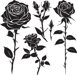  Set of decorative rose with leaves. Flower silhoutte. Vector illustration  Cute flower illustration in hand drawn style. Roses hand drawn set. Black line rose flowers  Icon collection. Vector doodle 