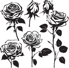  Set of decorative rose with leaves. Flower silhoutte. Vector illustration  Cute flower illustration in hand drawn style. Roses hand drawn set. Black line rose flowers  Icon collection. Vector doodle 