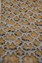 Zitouna Mosque, Located in the heart of Tunis' medina, this important mosque was founded in 734 and...