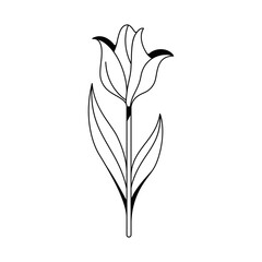 Vector Tulip Flower Spring Plant Cartoon Illustration Isolated