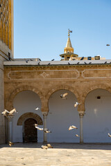 Zitouna Mosque, Located in the heart of Tunis' medina, this important mosque was founded in 734 and...
