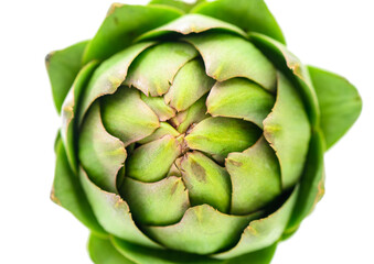 A detailed close up of a green artichoke on a clean white background. Perfect for food or cooking-related projects.1