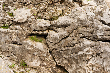 Texture of stone huge,light gray stone texture
