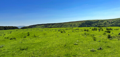 Fototapeta premium Lancashire landscape blanketed with lush green grass, and in the distance, trees and undulating hills stand under a blue sky near Grane Road, Rossendale, UK. 