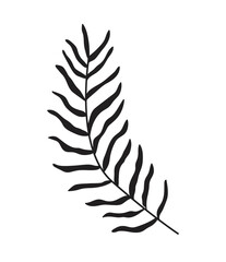 Naklejka premium Palm branch icon isolated on white. Vector illustration of a tropical plant.