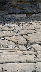 Close up of rugged and rocky landscape of Kilve Beach on the Jurassic Coast of England UK