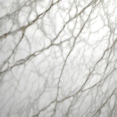 Marble Texture Walls: Exhibiting Swirls of Natural Veins