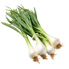 Asatsuki Japanese Cuisine