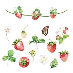Watercolor strawberry bush with flowers and butterfly