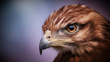 A close up of a brown bird with an orange beak, AI