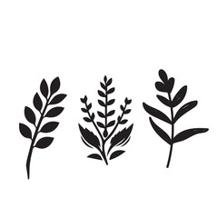 Set Of Leaf icon, Vector branch with leafs decorative, Black and white leaves design, hand drawn plant. natural line style illustration.