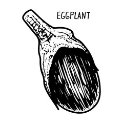 Eggplant sketch. Ripe vegetable. Healthy food. Farm product. Harvesting. Hand drawn vector line illustration.