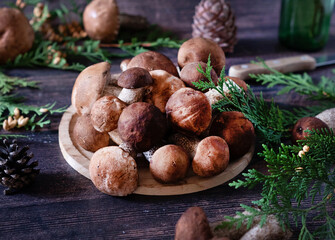 Mushroom Boletus in wicker basket. Autumn Cep Mushrooms. Spring Boletus edulis detail. Cooking delicious organic food mushroom.