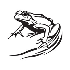 Vector Illustration Of  Happy Frog Jumping Isolated On White Background