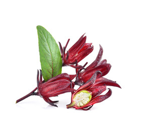 roselle hibiscus isolated on white background