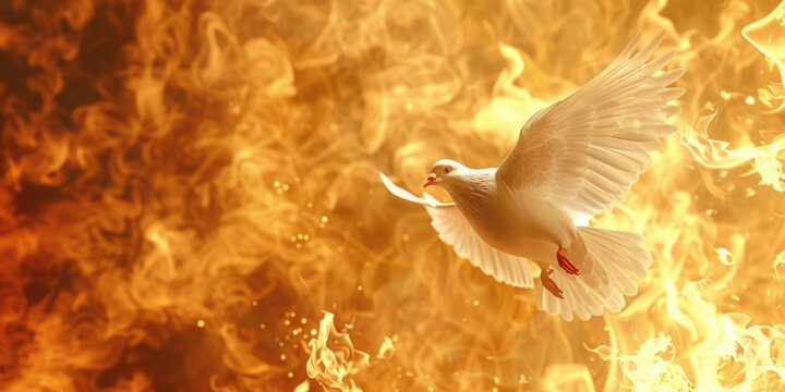 White Dove Flying Near Fire
