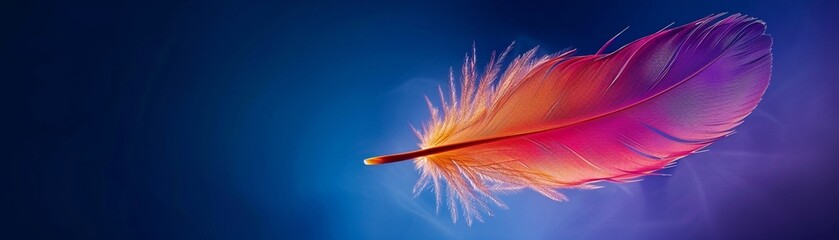 Obraz premium A vibrant feather with a gradient of purple to orange, set against a deep blue background 8K , high-resolution, ultra HD,up32K HD