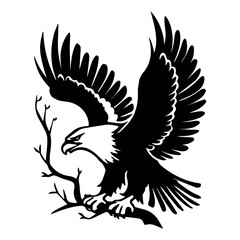 This is cute flying Eagle vector with illustration work