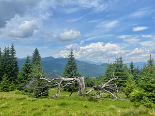 Fairytale landscape against green mountains and dramatic sky.