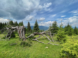 Fairytale landscape against green mountains and dramatic sky.
