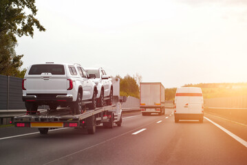 Car Vehicle Hauling Dealer Carrier Truck Trailer Worldwide Transporter