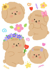 Fototapeta premium Poodle with flowers