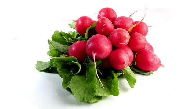Radieschen Bund