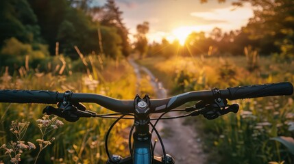 Naklejka premium A cyclist rides through a field of flowers at sunset